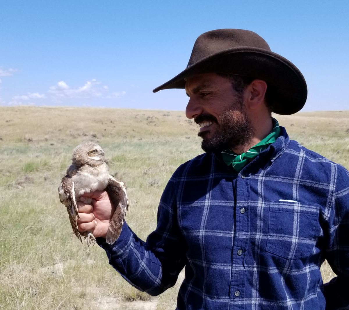 Wolf in the desert holding a small own while wearing a blue plaid shirt, green bandana, and brown hat