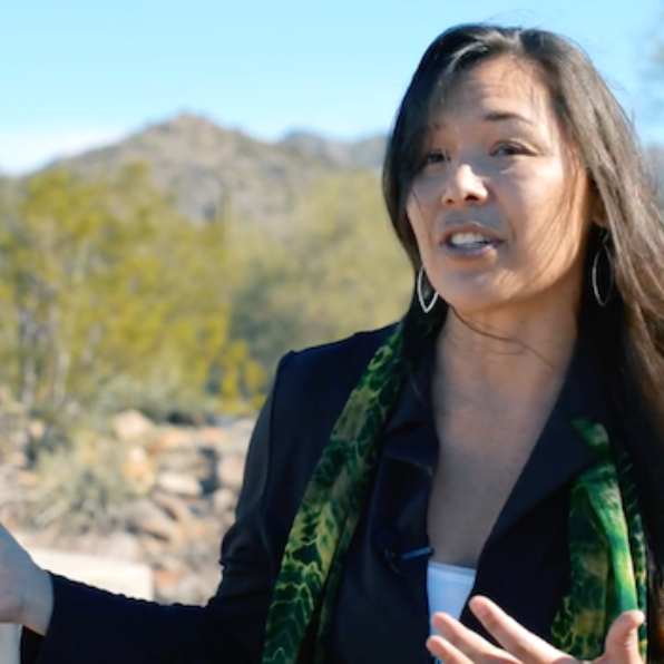 Dr. Sharon Hall in the desert with mountains in the background wearing a white top, dark blue blazer, and green scarf