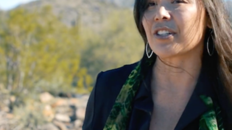Dr. Sharon Hall in the desert with mountains in the background wearing a white top, dark blue blazer, and green scarf