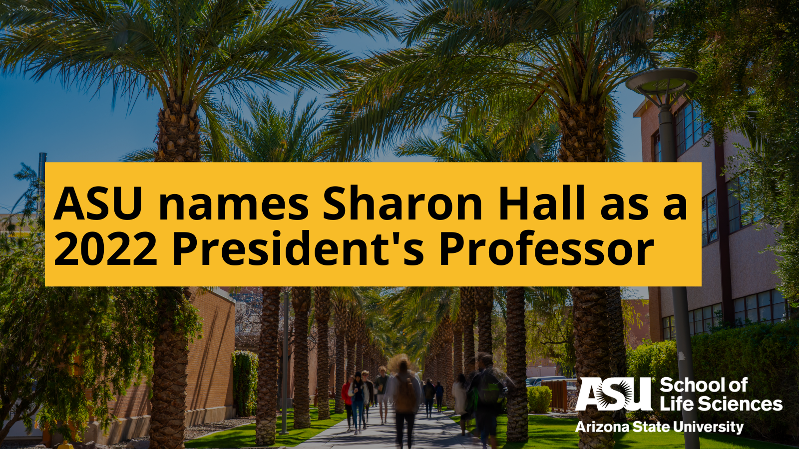 Stock photo of asu campus with palm trees and students walking.