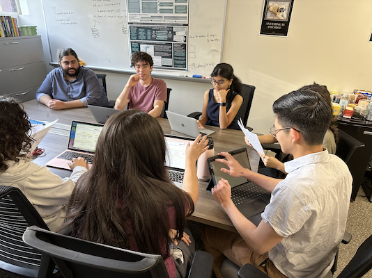 RISE ambassadors table